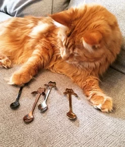 Café Ou Cuillère En Acier Inoxydable Avec Tête De Chat à Accrocher à La Tasse, Polie Des Deux Côtés 4 Cuillères 13 Café Ou Cuillère En Acier Inoxydable Avec Tête De Chat à Accrocher à La Tasse, Polie Des Deux Côtés 4 Cuillères -Fournitures De Cuisine Boutique 1020x1200 1