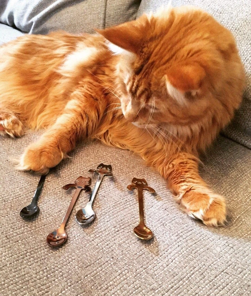 Café Ou Cuillère En Acier Inoxydable Avec Tête De Chat à Accrocher à La Tasse, Polie Des Deux Côtés 4 Cuillères 5 Café Ou Cuillère En Acier Inoxydable Avec Tête De Chat à Accrocher à La Tasse, Polie Des Deux Côtés 4 Cuillères – Image 5