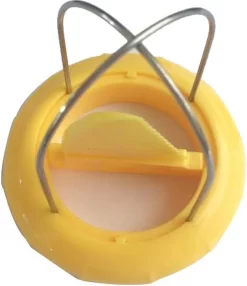 Kiwi Cutter - Creative Fruit Peeler - Outils Pour Citroen Et Kiwi - Durable Et Utile - Ustensiles Et Accessoires De Vêtements Pour Bébé De Cuisine - Jaune -Fournitures De Cuisine Boutique 1035x1200