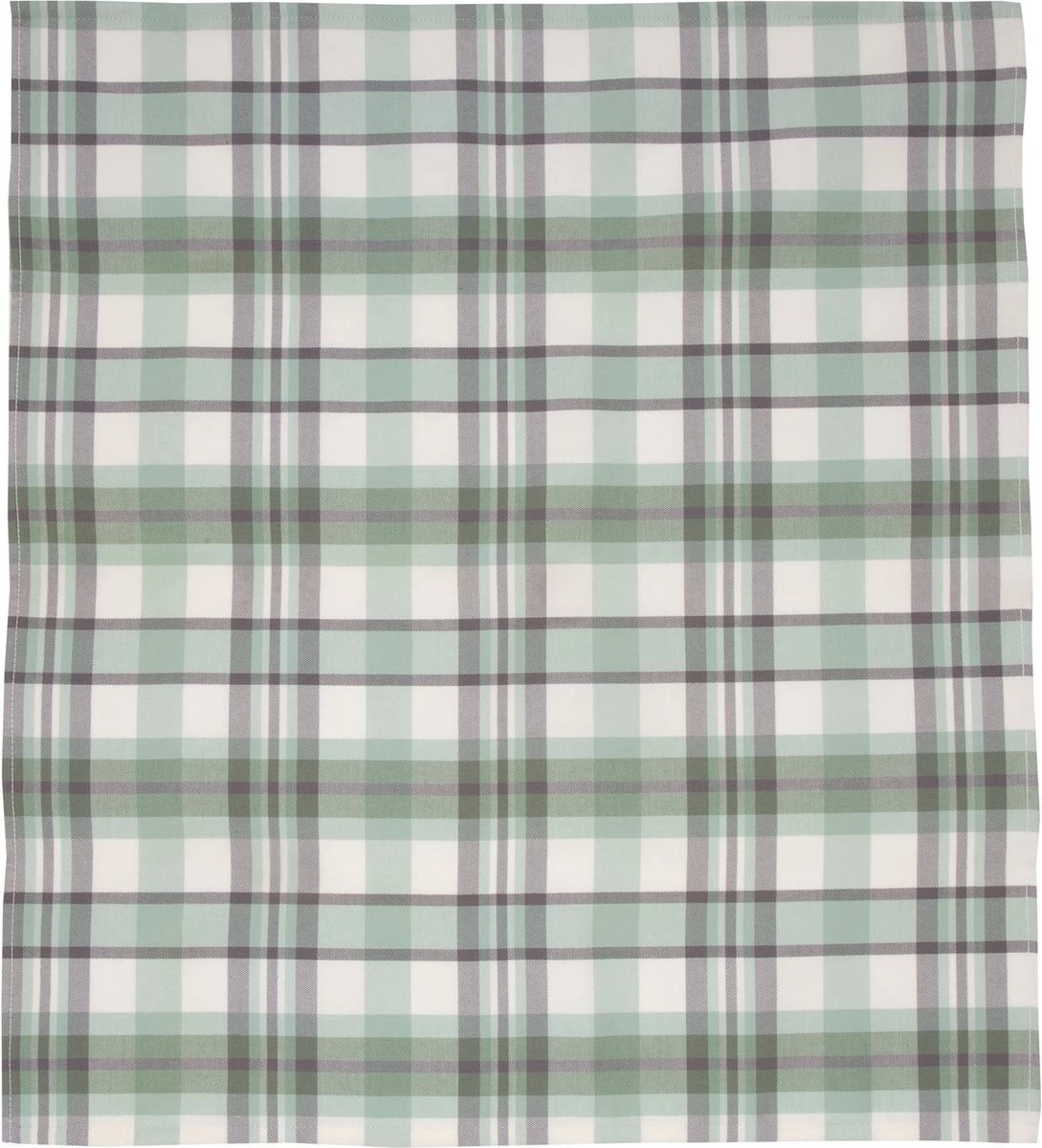 Ten Cate Set De Torchons De Cuisine Katoen - 2 Pièces - 1x Torchon 50x50 - 1x Torchon 60x65 - Vert Clair 3 Ten Cate Set De Torchons De Cuisine Katoen - 2 Pièces - 1x Torchon 50x50 - 1x Torchon 60x65 - Vert Clair – Image 3