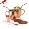 Moscow Mule Cup Set - Set à Cocktail - Comprenant 2 Délicieuses Recettes De Mule - Cadeau De Luxe Homme Femme - 500 Ml - Qwality