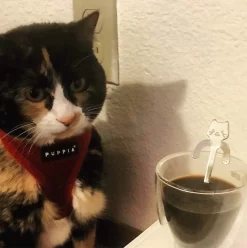 Café Ou Cuillère En Acier Inoxydable Avec Tête De Chat à Accrocher à La Tasse, Polie Des Deux Côtés 4 Cuillères 12 Café Ou Cuillère En Acier Inoxydable Avec Tête De Chat à Accrocher à La Tasse, Polie Des Deux Côtés 4 Cuillères -Fournitures De Cuisine Boutique 1195x1200 3