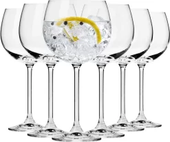 Verres à Gin Verres | Lot De 6 Pièces | 480 Ml | Collection Venise | Idéal Pour La Maison, Le Restaurant, Les Événements Et Les Fêtes | Lave-vaisselle