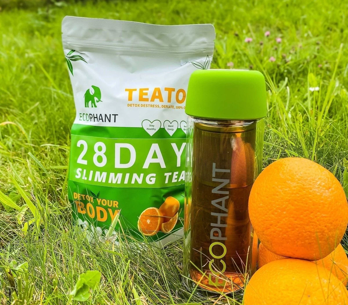 Bouteille Ecophant Tea-To- Go - Tasse à Thé à Double Paroi - Bouteille Pour Thé En Vrac - Avec Infuseur En Acier Inoxydable - Avec Passoire à Thee - Glas - 330 Ml 2 Bouteille Ecophant Tea-To- Go - Tasse à Thé à Double Paroi - Bouteille Pour Thé En Vrac - Avec Infuseur En Acier Inoxydable - Avec Passoire à Thee - Glas - 330 Ml – Image 2