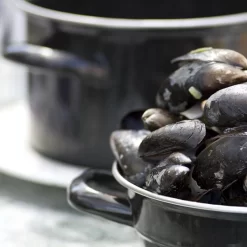 Made4Home® - Marmite à Moules - Ø18 Cm - Électrique Et Gaz - Avec Couvercle - Zwart - Métal - Moule à Moules -Fournitures De Cuisine Boutique 1200x1200 1072