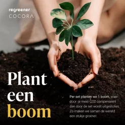 Cocora Cocktail Set - Accessoires De Vêtements Pour Bébé De Bar - Cuillère De Bar - Jigger / Bar Buddy - 2 Pailles - 2 Bâtons De Cocktail - Acier Inoxydable De Haute Qualité - Durable -Fournitures De Cuisine Boutique 1200x1200 1500