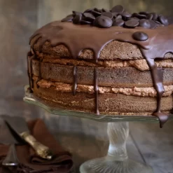 Relaxdays 2x Scie à Gâteau En Acier Inoxydable - Coupe-gâteau - Coupe-gâteau - Séparateur De Fond De Gâteau 2 Fils De Scie 12 Relaxdays 2x Scie à Gâteau En Acier Inoxydable - Coupe-gâteau - Coupe-gâteau - Séparateur De Fond De Gâteau 2 Fils De Scie -Fournitures De Cuisine Boutique 1200x1200 161