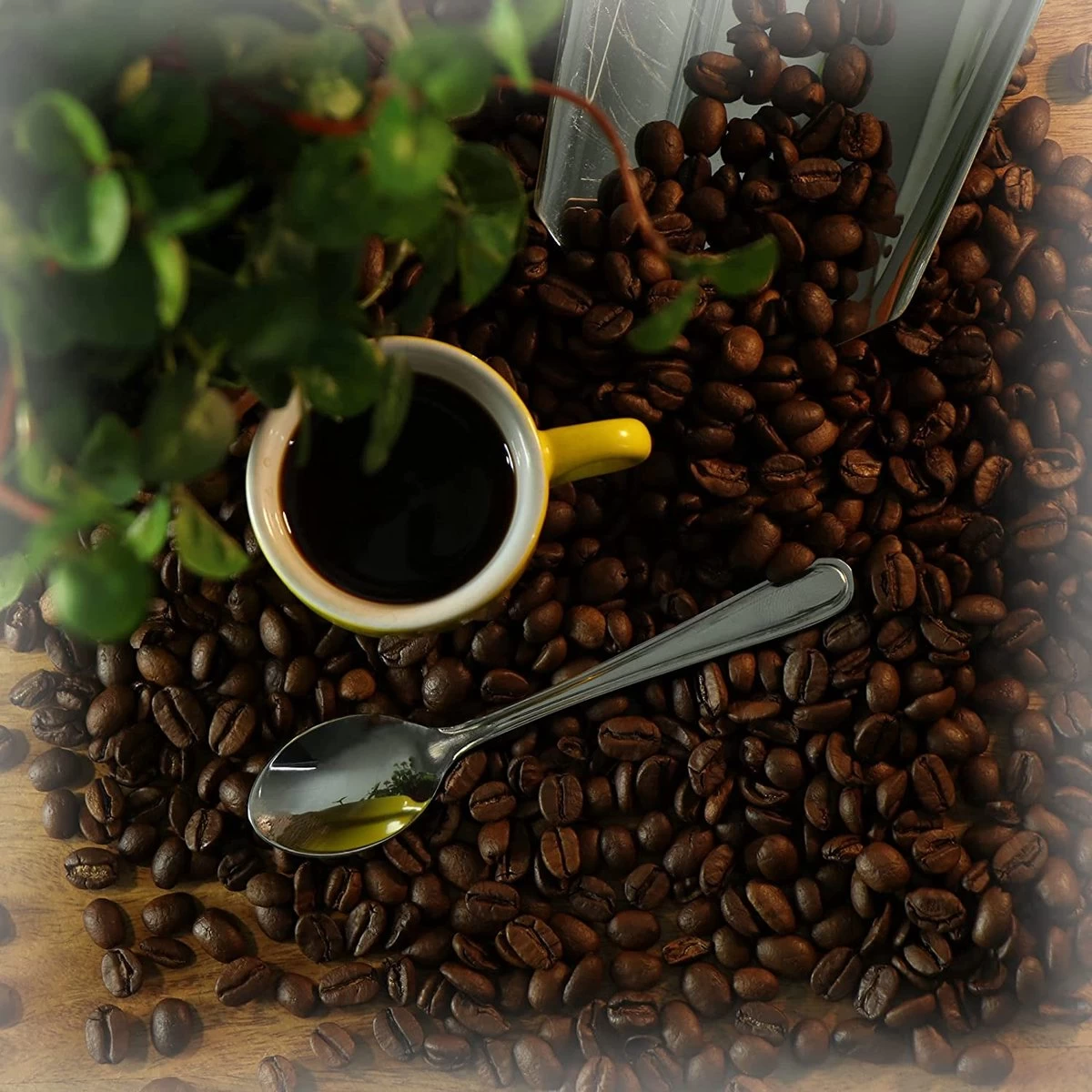 COM-FOUR® 12x Cuillères à Expresso En Acier Inoxydable - Couverts De Table élégants Au Design Simple - Cuillères à Café - Cuillères à Dessert - Service à Thé (12 Pièces - Cuillère à Expresso 12cm) 3 COM-FOUR® 12x Cuillères à Expresso En Acier Inoxydable - Couverts De Table élégants Au Design Simple - Cuillères à Café - Cuillères à Dessert - Service à Thé (12 Pièces - Cuillère à Expresso 12cm) – Image 3