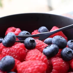 House Of Husk™ Black Fourchettes à Dessert De Tiges De Cocktail- Réutilisables - Fruits - Snack - Fourchettes - Fourchettes à Gâteau - Acier Inoxydable - Zwart - Set De 6 -Fournitures De Cuisine Boutique 1200x1200 599