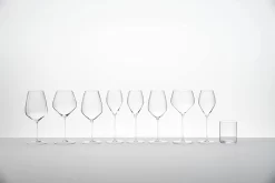 Ensemble De Verres à Flûtes à Champagne - Fête De Noël Dîner Fête Du Nouvel An Fête D'anniversaire - Verre De Haute Qualité - Durable - Parfait Comme Cadeau Verre à Champagne