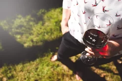 Verre à Vin XL How Was Your Day (1x Verre De 550 Ml) Par Schott Zwiesel | Fabriqué En Allemagne | Bonne Journée, Mauvaise Journée, Ne Demandez Pas - Verre à Vin Imprimé | Vin Rouge Vin Blanc | Stareater® -Fournitures De Cuisine Boutique 1200x800 135