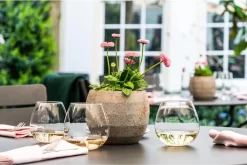 Un Ensemble De 12x Verres à Vin Sans Base Pour Vin Blanc Et Rouge Ronda - Verres à Vin Witte/ Rouge - Boire Du Vin -Fournitures De Cuisine Boutique 1200x802 7