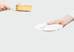 Orange85 Plateau à Gâteaux - 27 Cm - Coupe-gâteau - Gâteau De Service - Cuillère à Soupe - Inox - Scoop Cake - Gâteau De Service - Cuisson -Fournitures De Cuisine Boutique 1200x848