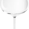 1x Verres Ballons Gin Tonic Transparents 860 Ml De Plastique Incassable - Réutilisables - Verres à Vin Pour Amateurs De Vins